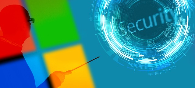 microsoft-g036c2d4a4_640.jpg