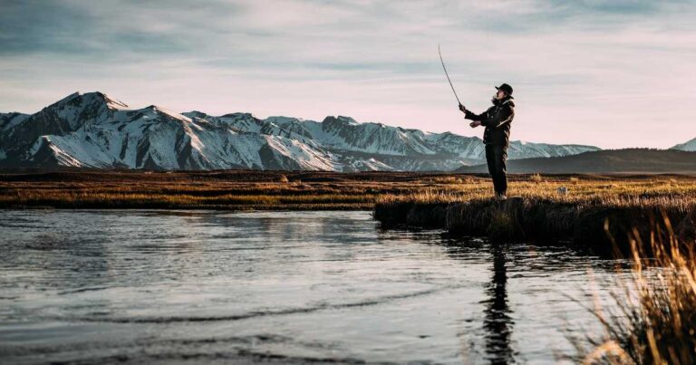 Photo by Robson Hatsukami Morgan on Unsplash
