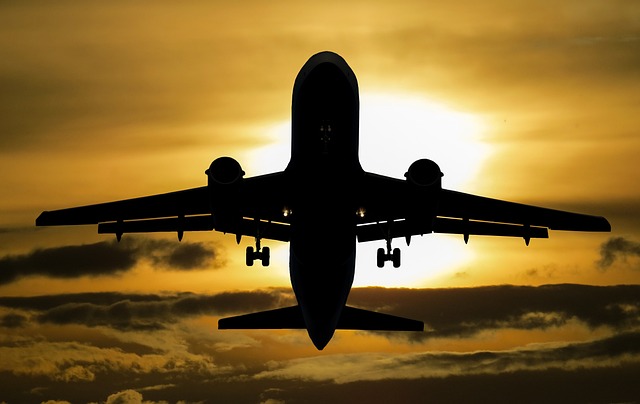 LINHA AÉREA DE DEPORTAÇÃO DE IMIGRANTES É INVADIDA