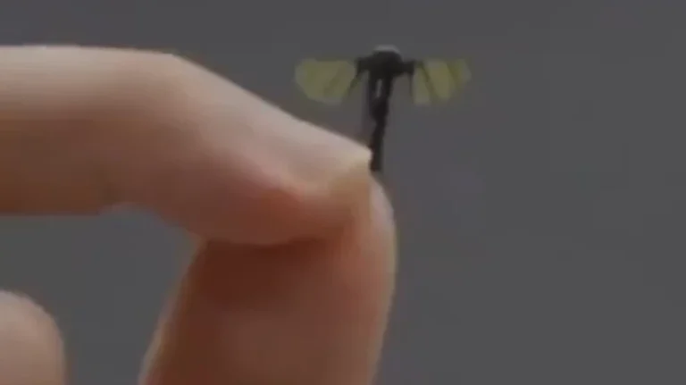 China Já Deenvolve Drones do Tamnho de Mosquitos
